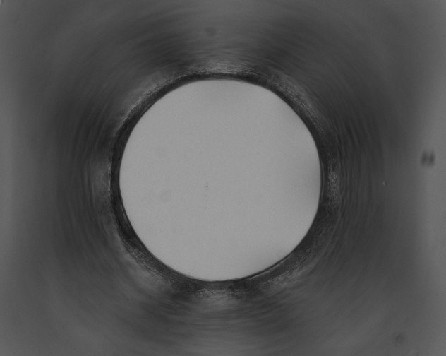 X0000091170534200708301157