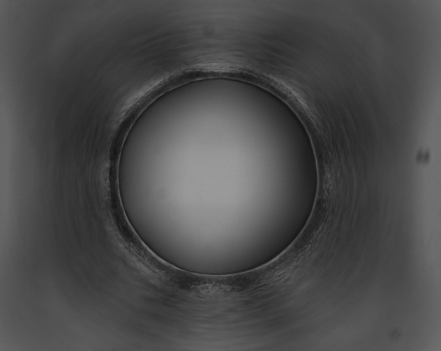 X0000091170535200708301157