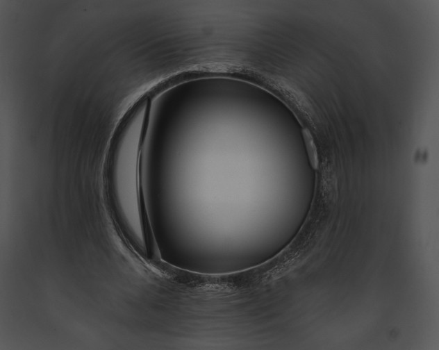 X0000091170536200708301157