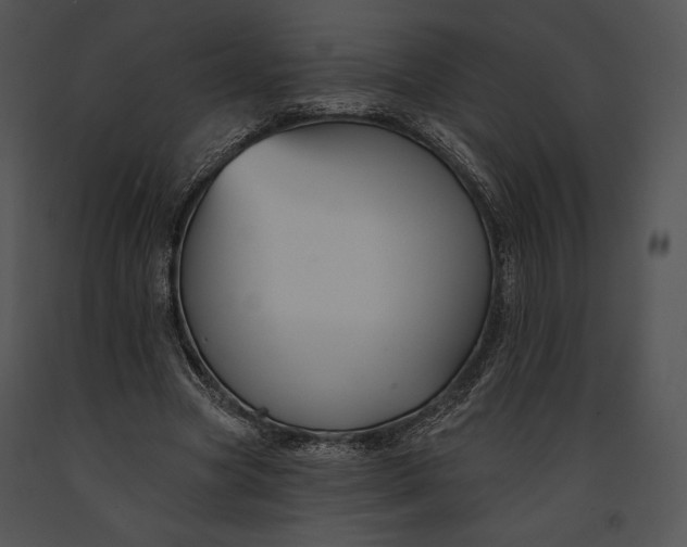 X0000091170537200708301157