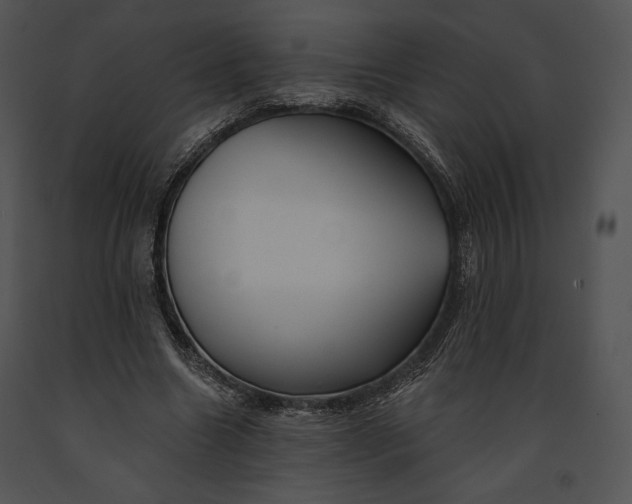 X0000091170538200708301157