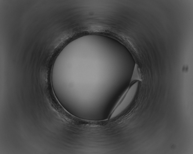 X0000091170539200708301157