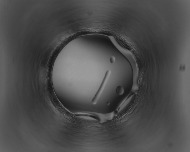 X0000091170540200708301157