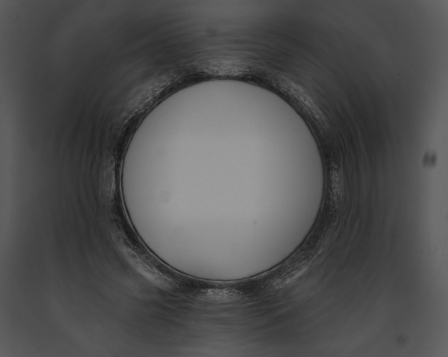 X0000091170541200708301157