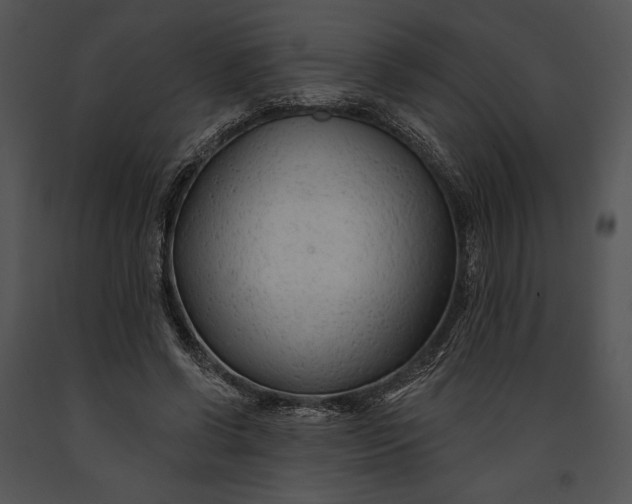 X0000091170542200708301157