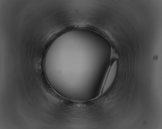 X0000091170543200708301157