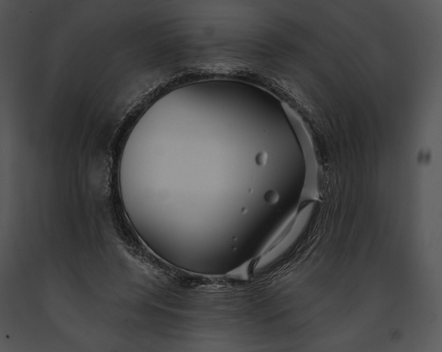 X0000091170544200708301157