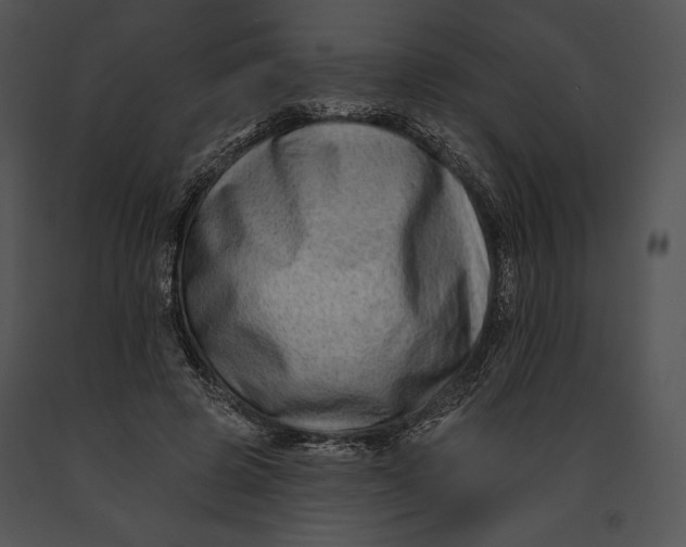 X0000091170545200708301157