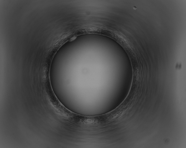 X0000091170546200708301157