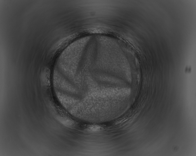 X0000091170547200708301157