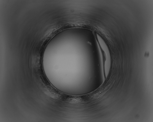 X0000091170548200708301157