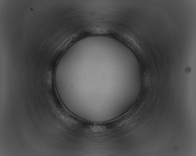 X0000091170549200708301157