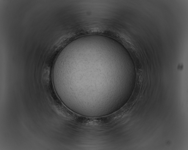 X0000091170550200708301157