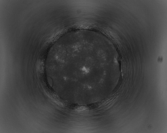 X0000091170551200708301157