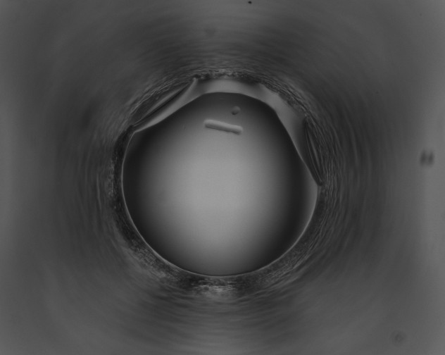 X0000091170552200708301157