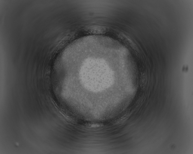 X0000091170553200708301157