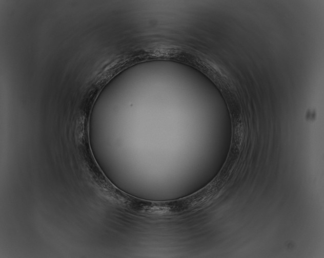 X0000091170554200708301157