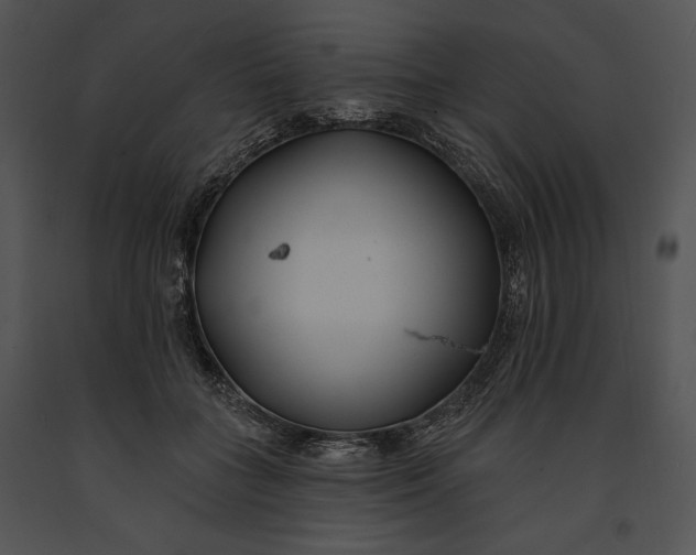 X0000091170555200708301157