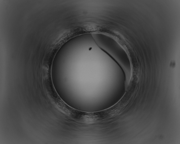 X0000091170556200708301157