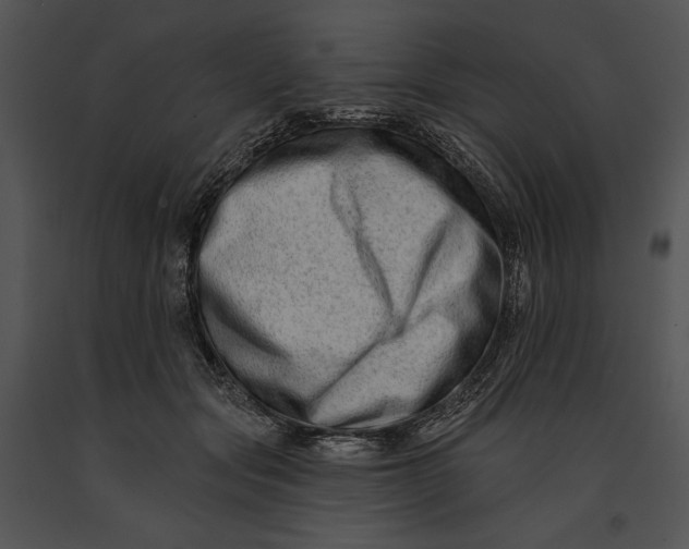 X0000091170557200708301157