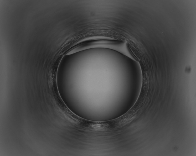 X0000091170558200708301157