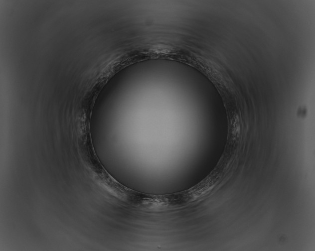 X0000091170559200708301157