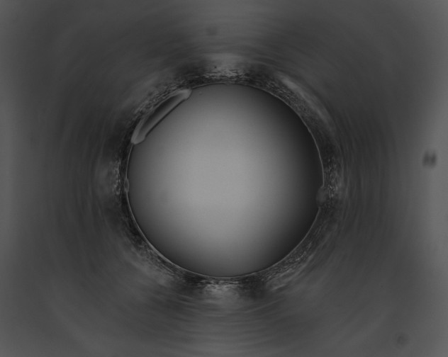 X0000091170560200708301157