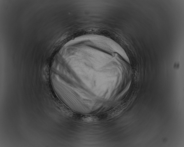 X0000091170561200708301157