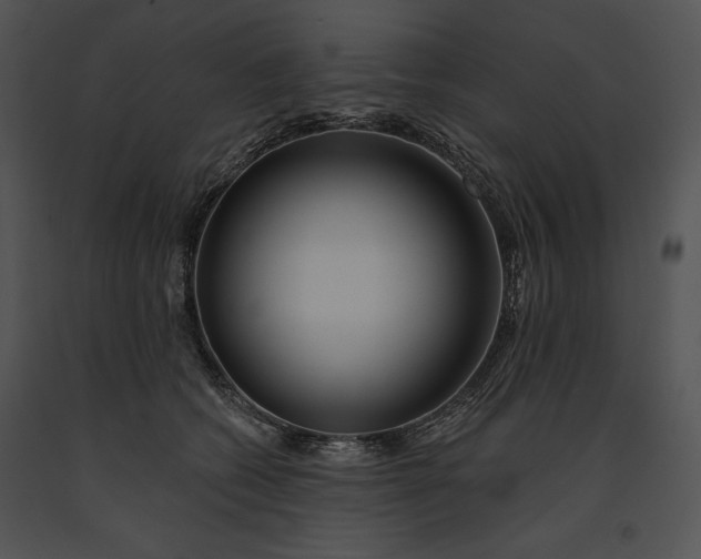 X0000091170562200708301157