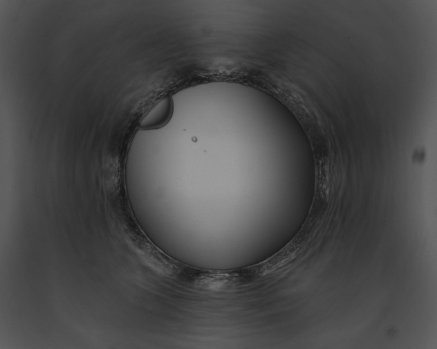 X0000091170563200708301157