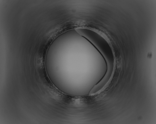 X0000091170564200708301157