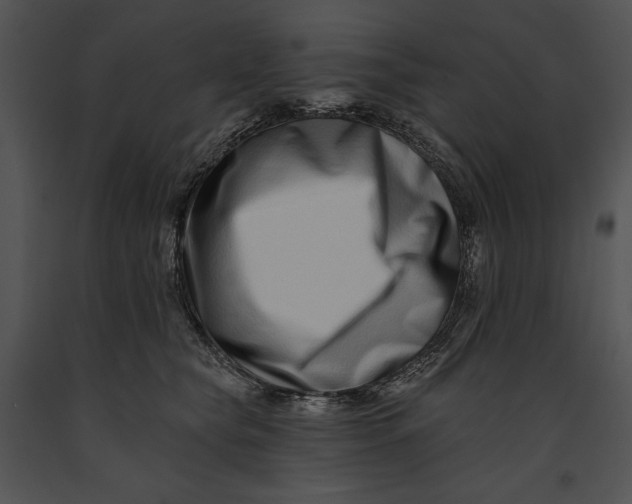 X0000091170565200708301157