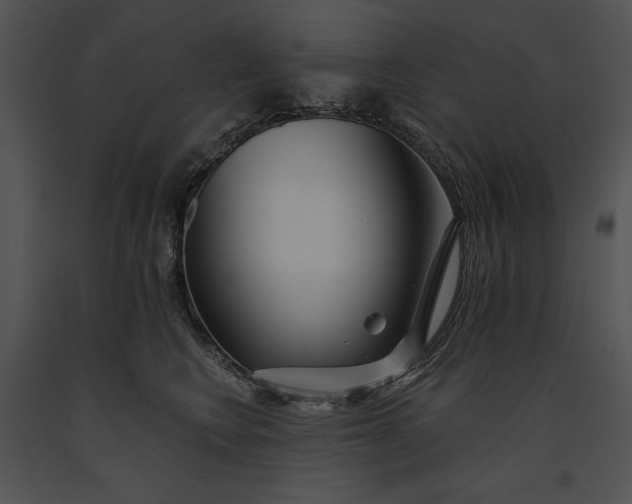 X0000091170566200708301157