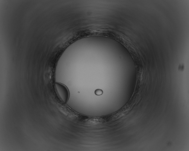 X0000091170567200708301157