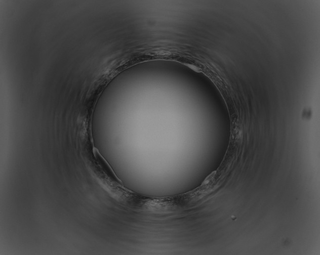 X0000091170568200708301157