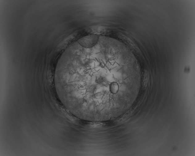 X0000091170569200708301157