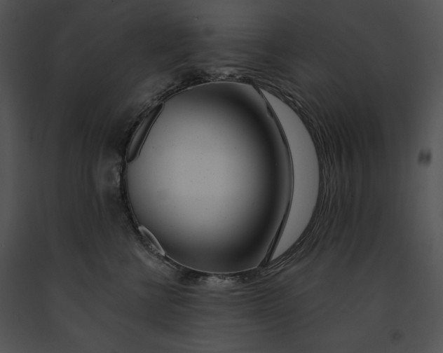 X0000091170570200708301157