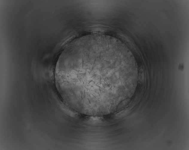 X0000091170573200708301158