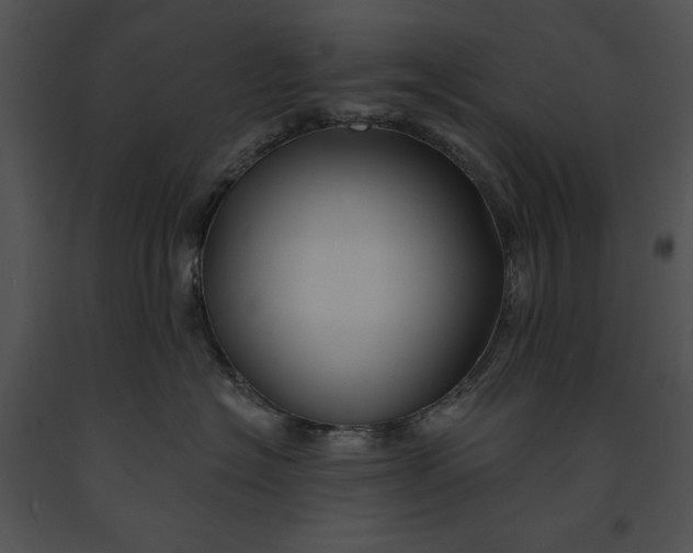 X0000091170574200708301158