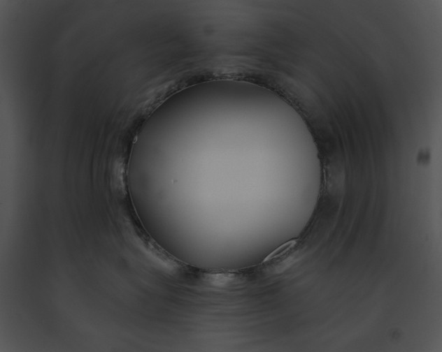 X0000091170575200708301158