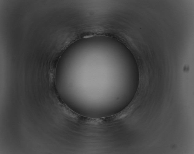 X0000091170576200708301158