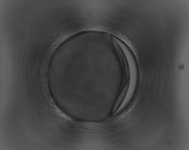 X0000091170577200708301157