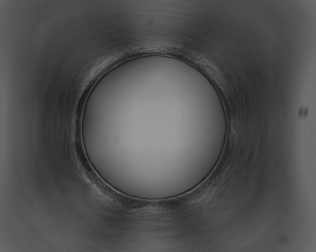 X0000091170578200708301157