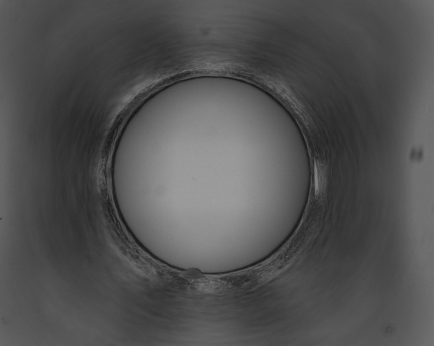 X0000091170579200708301157