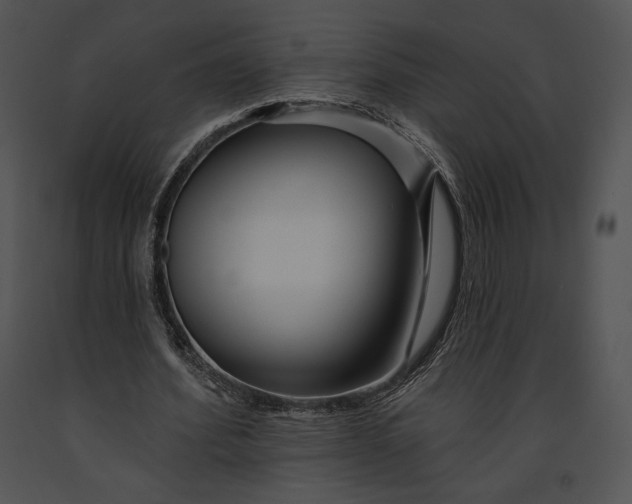 X0000091170580200708301157