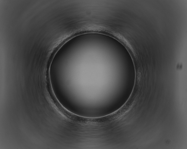 X0000091170581200708301157