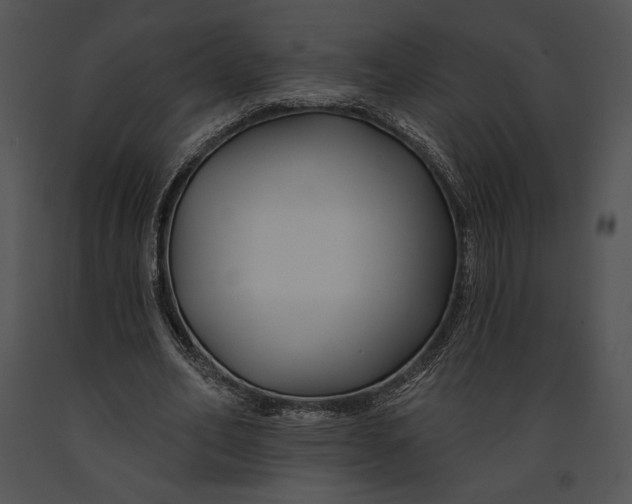 X0000091170582200708301157