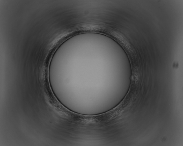 X0000091170583200708301157