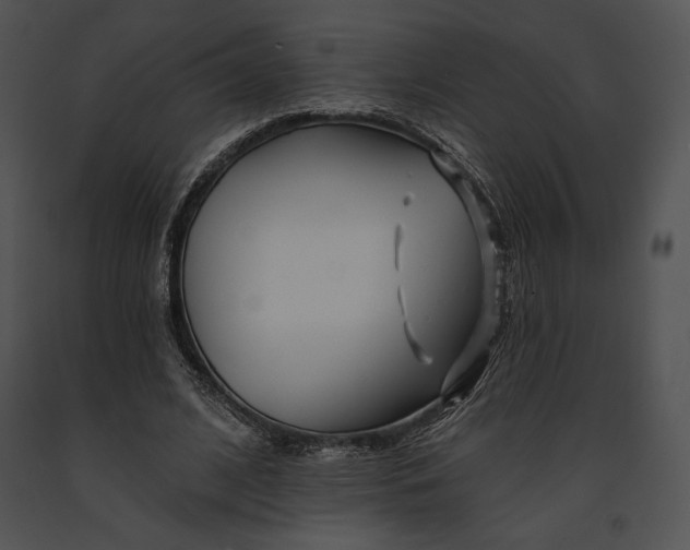 X0000091170584200708301157