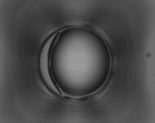 X0000091170585200708301157